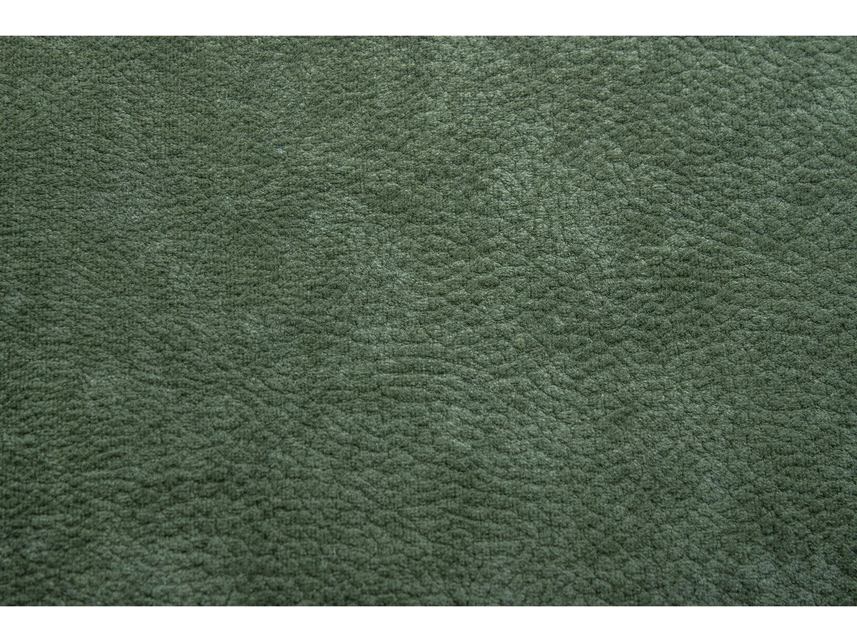 Phlox (Флокс) 13 Темно-зелений 