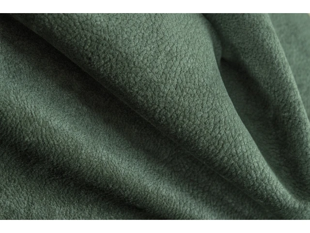 Phlox (Флокс) 13 Темно-зелений 