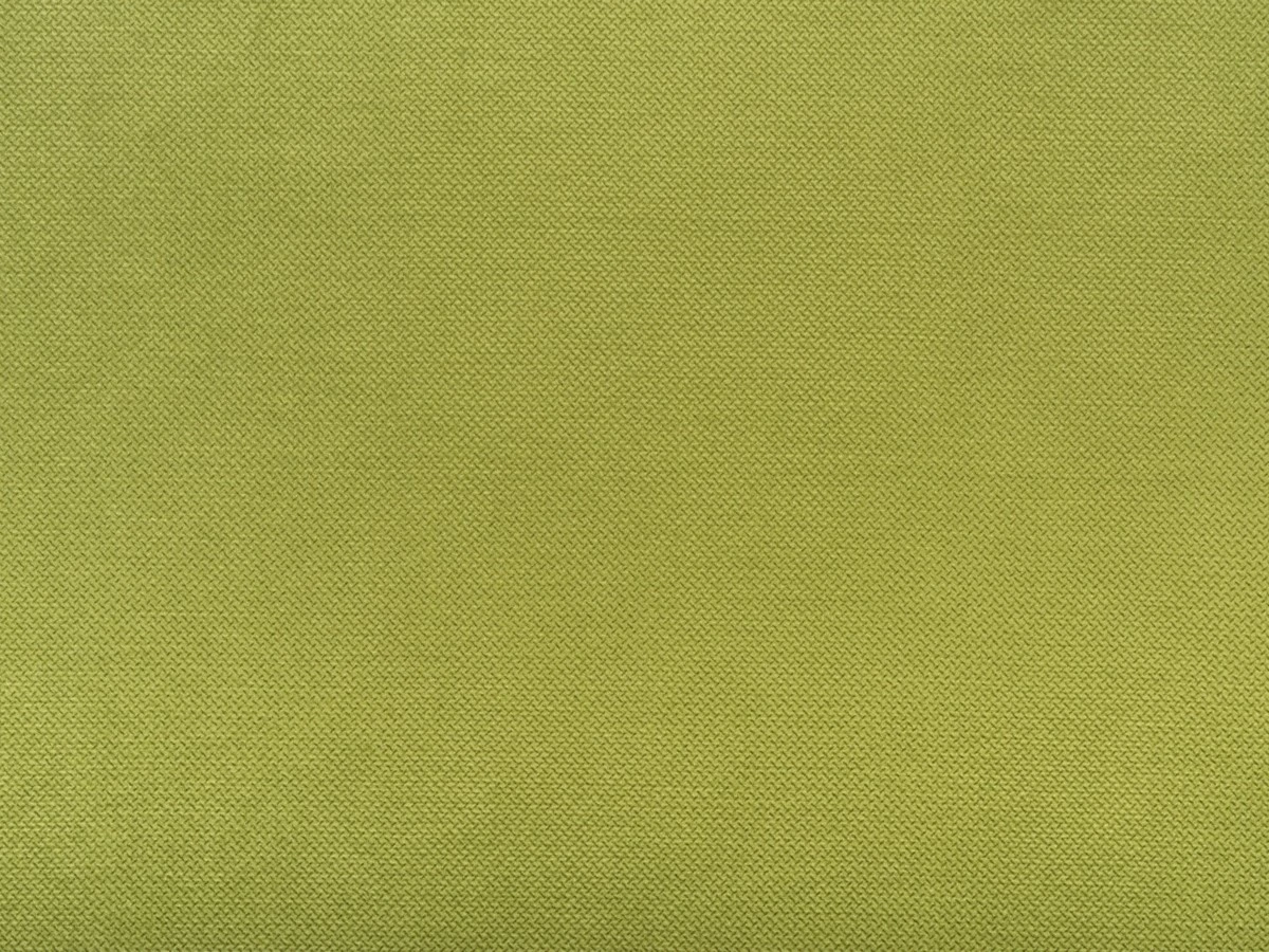 Daisy (Дейзі) 33 Салатовый 