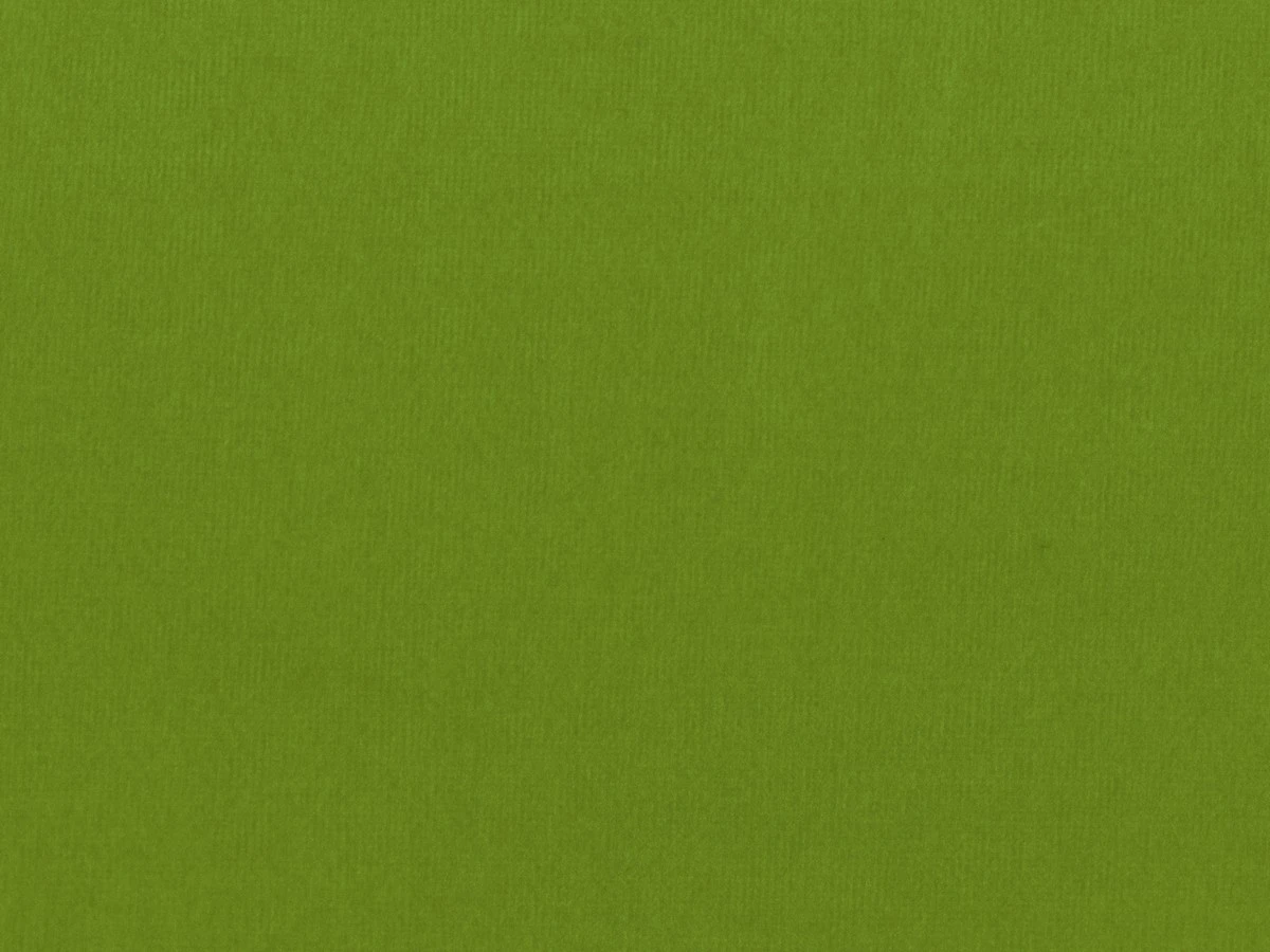 Пандора 15 Зеленый 