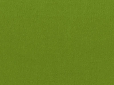 Пандора 15 Зеленый