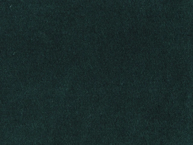 Пандора 28 Темно-зеленый 