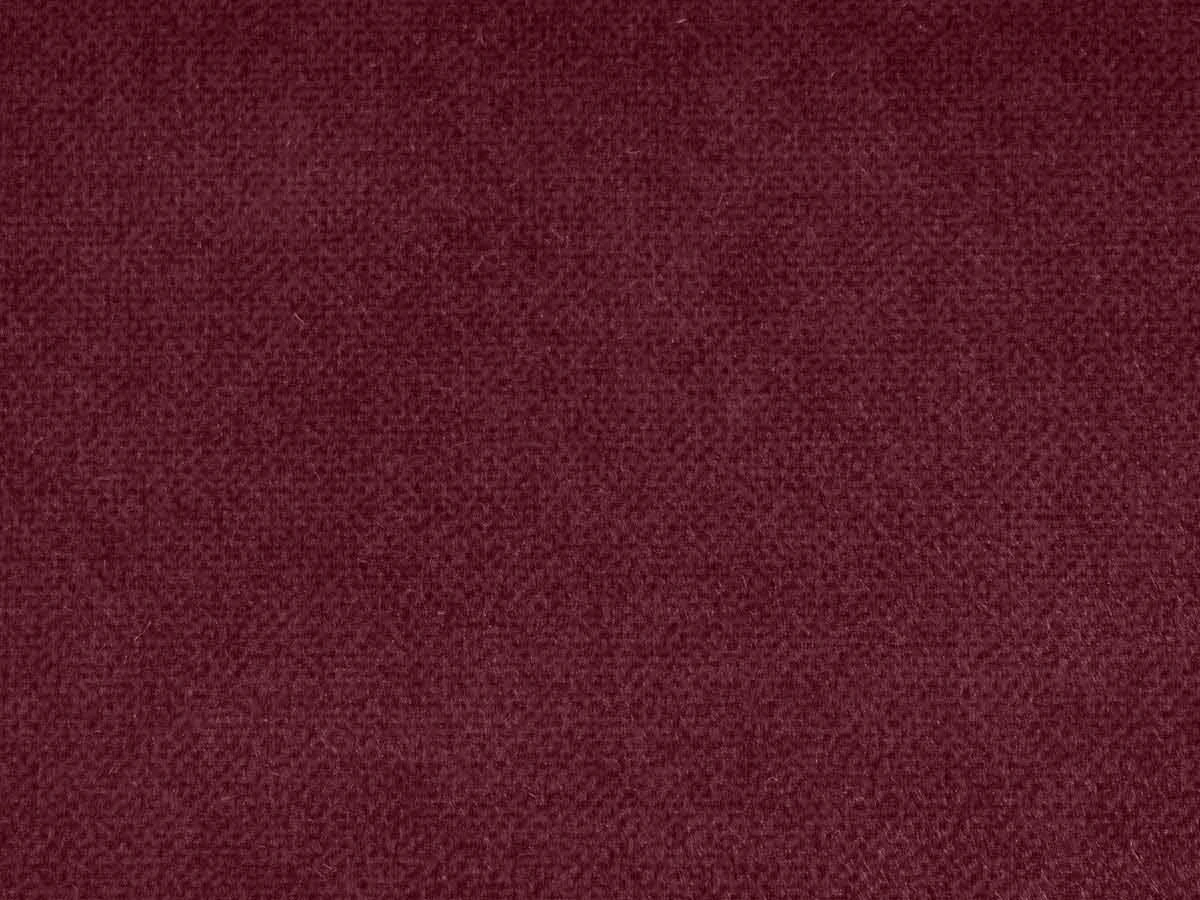 Salvia (Сальвія) 67 Бордовий 