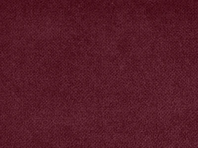 Salvia (Сальвія) 67 Бордовий