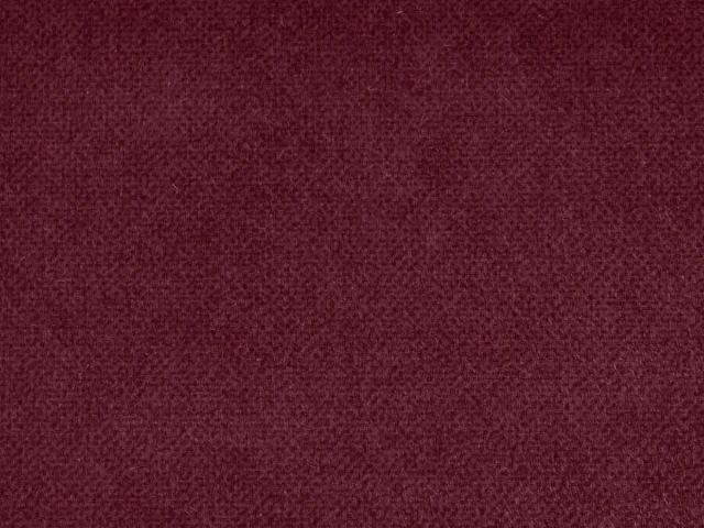 Salvia (Сальвія) 67 Бордовий 