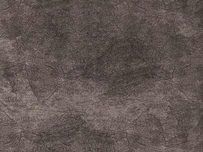 HT 0219 (ХТ 0219) 5