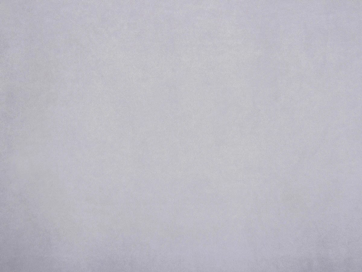 Zenit (Зеніт) 31 Мишачо-сірий 