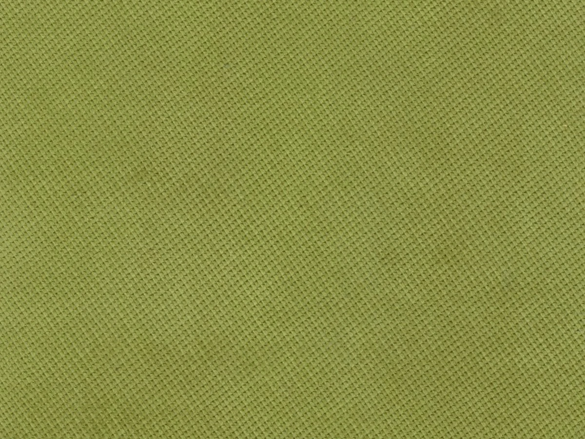 Verona (Верона) 38 Apple Green 