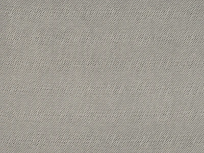 Denim (Деним)  04 Светло-серый