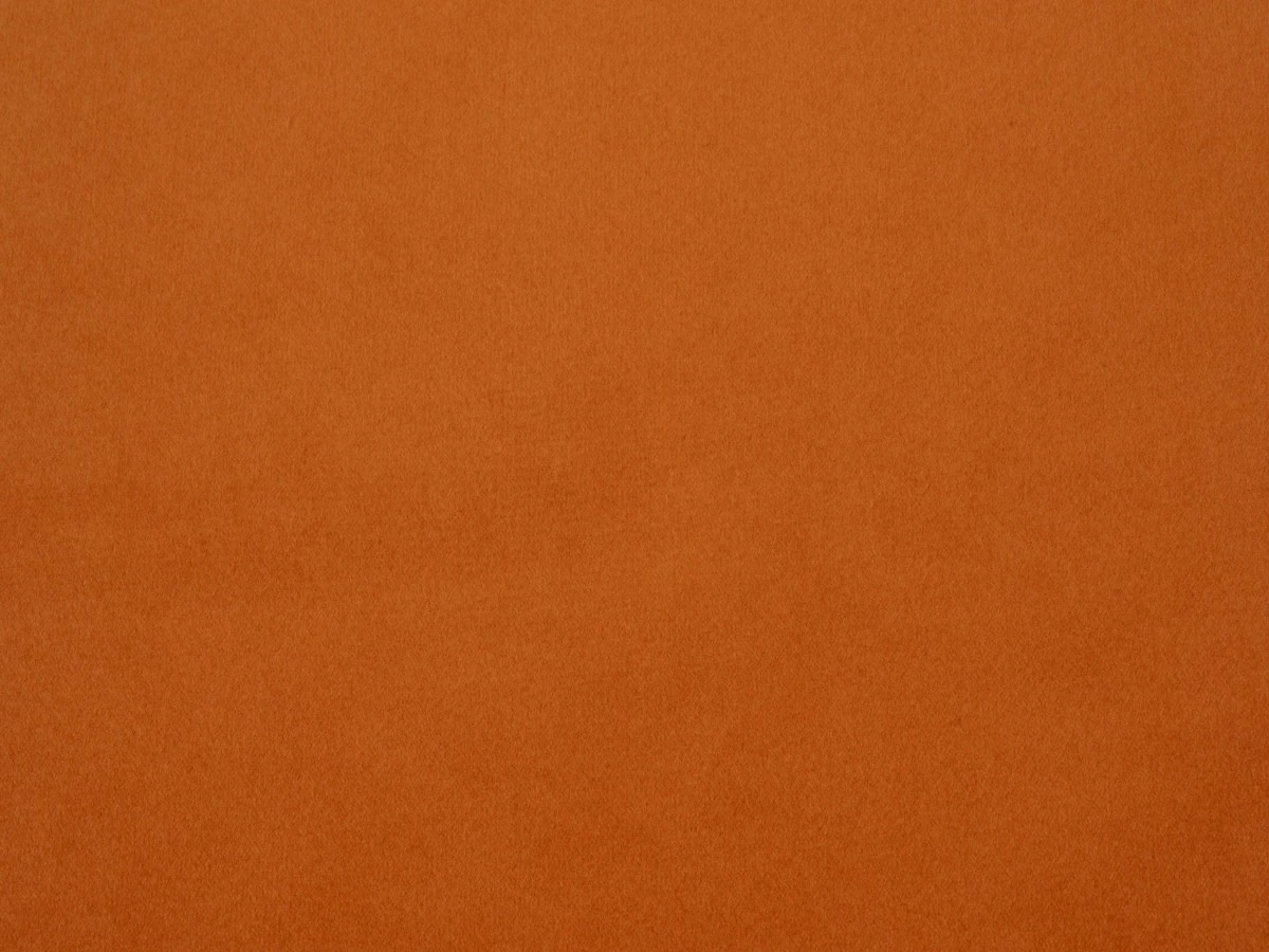 Bagheera (Багіра) 24 BABY CARROT 