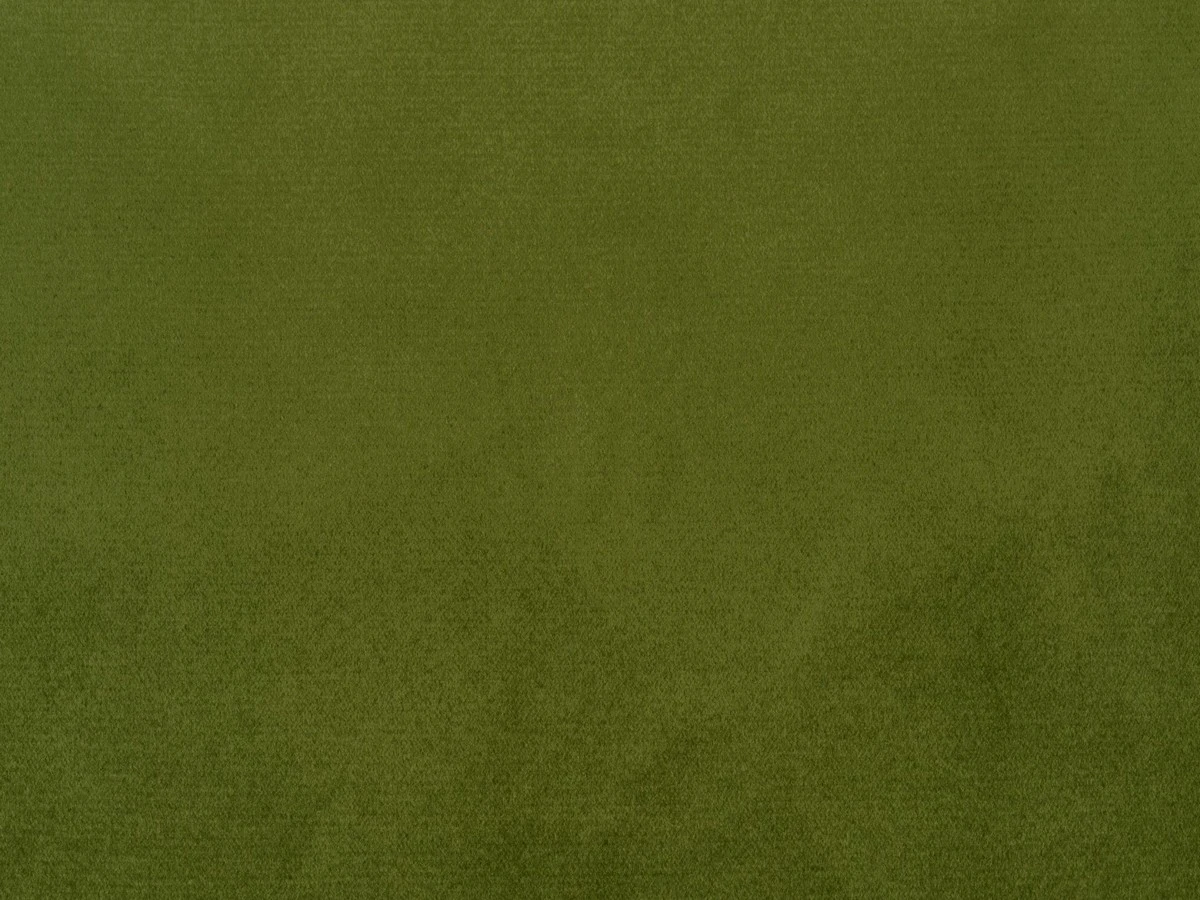 Bagheera (Багіра) 25 FOREST GREEN 