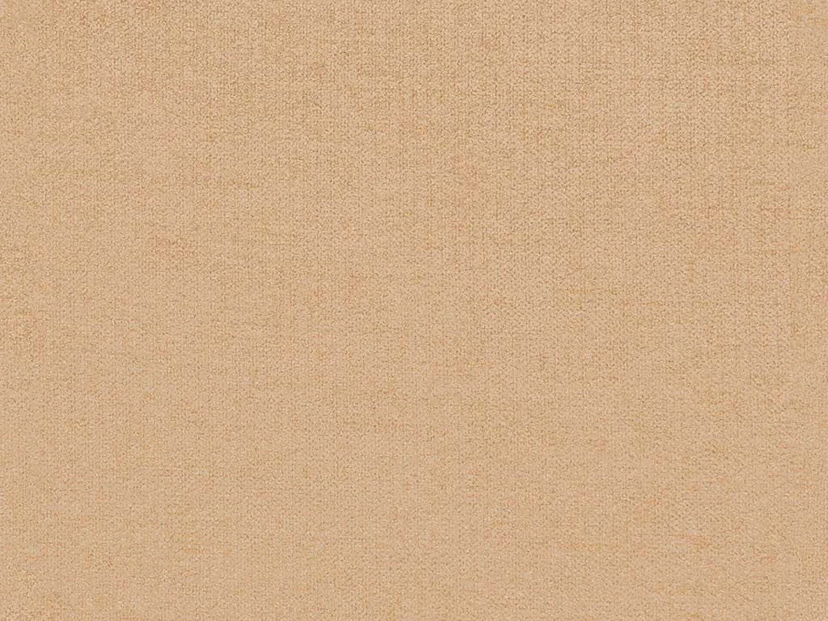 New York (Нью Йорк) Salmon 