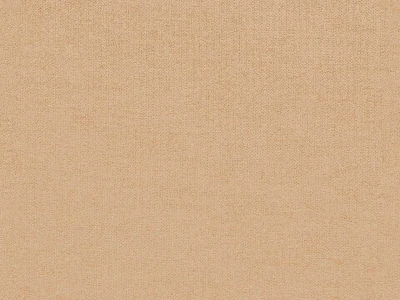 New York (Нью Йорк) Salmon