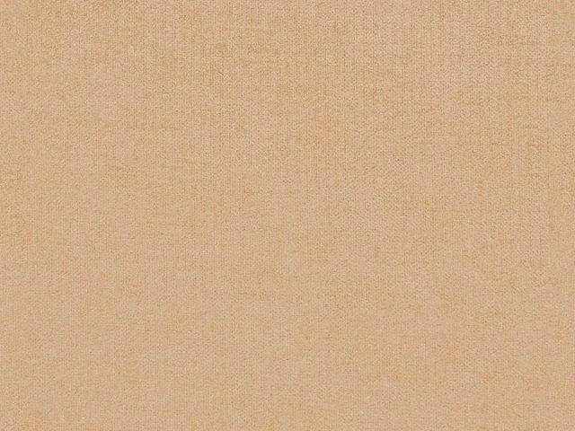 New York (Нью Йорк) Salmon 