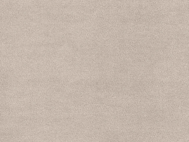 Steam (Стим) 5 Темно-бежевый 