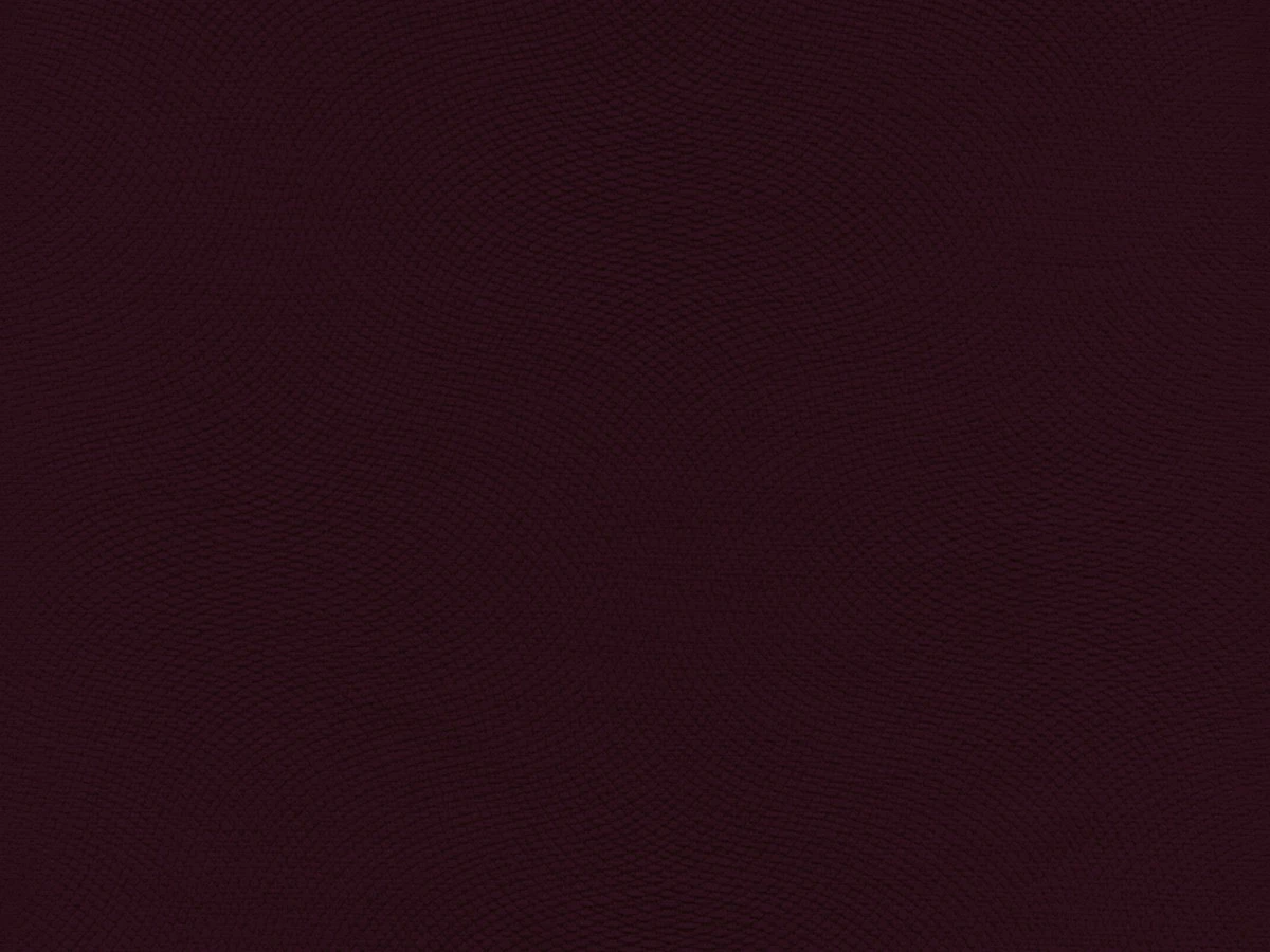 Lira (Ліра) 31 Бордовий 