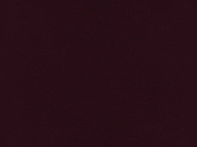 Lira (Ліра) 31 Бордовий