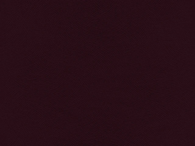 Lira (Ліра) 31 Бордовий 