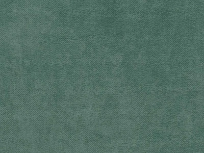 Cloud (Клоуд) 33 Светло-зеленый