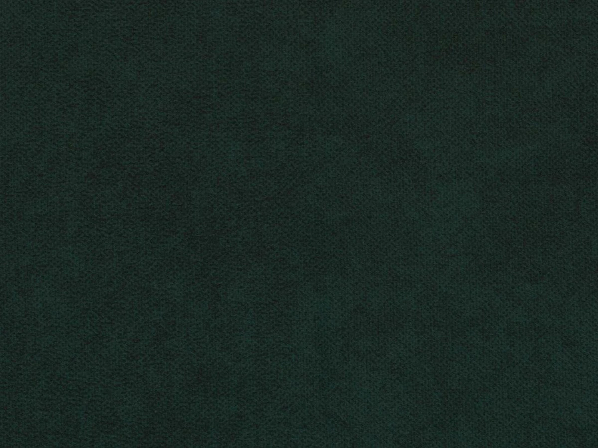 Cloud (Клоуд) 38 Темно-зеленый 