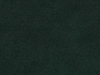 Cloud (Клоуд) 38 Темно-зеленый