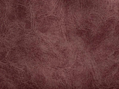 Camel (Кэмел) 06 Marsala