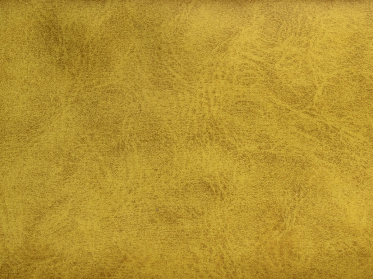 Camel (Кэмел) 09 Golden Glow 