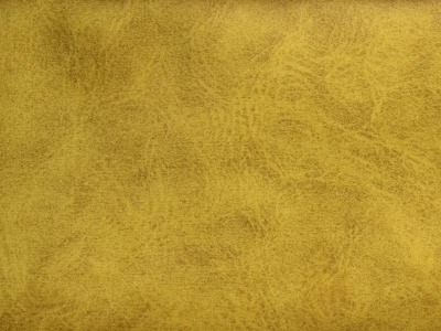 Camel (Кэмел) 09 Golden Glow