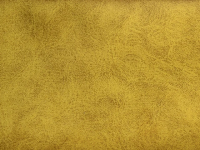 Camel (Кэмел) 09 Golden Glow 