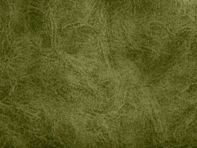 Camel (Кэмел) 10 Green Olive