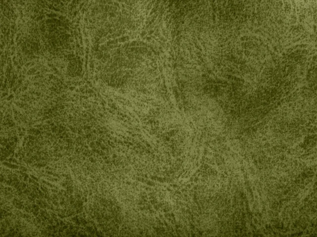 Camel (Кэмел) 10 Green Olive 