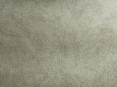 Camel (Кэмел) 14 Ivory