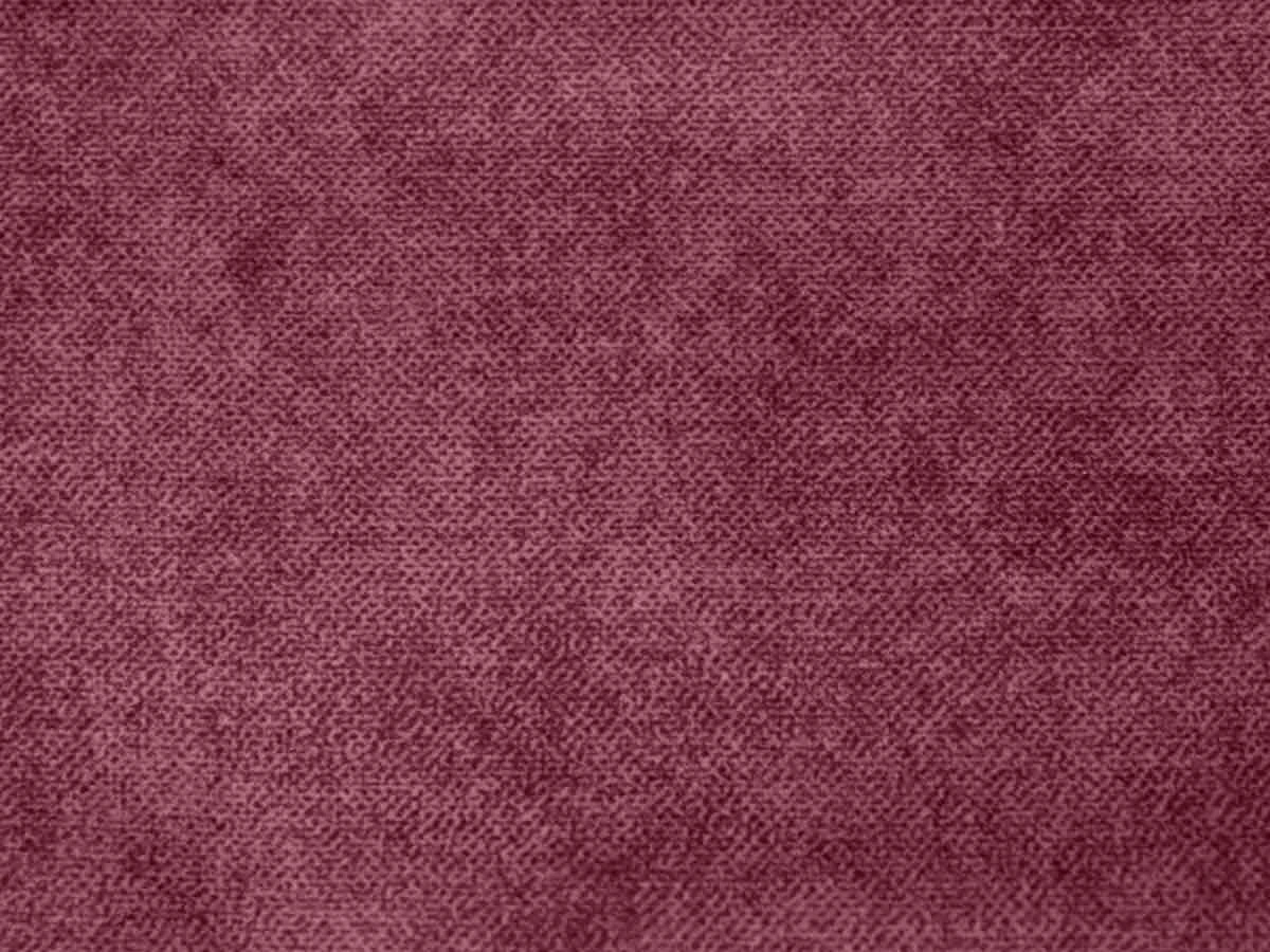 Salvia (Сальвія) 63 Пудровий 