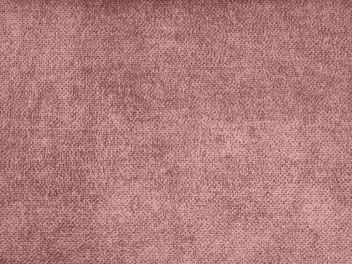 Salvia (Сальвія) 61 Рожевый 