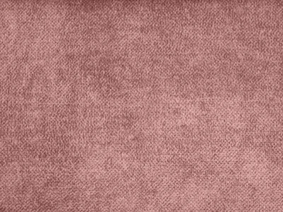 Salvia (Сальвія) 61 Рожевый