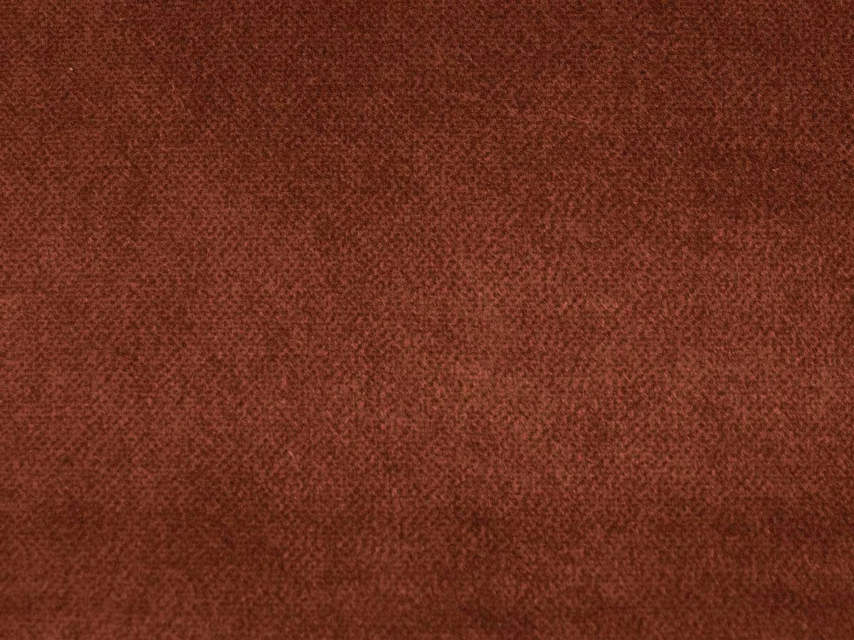 Salvia (Сальвія) 54 Помаранчевий 