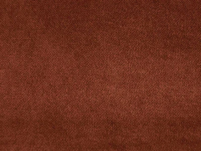 Salvia (Сальвія) 54 Помаранчевий