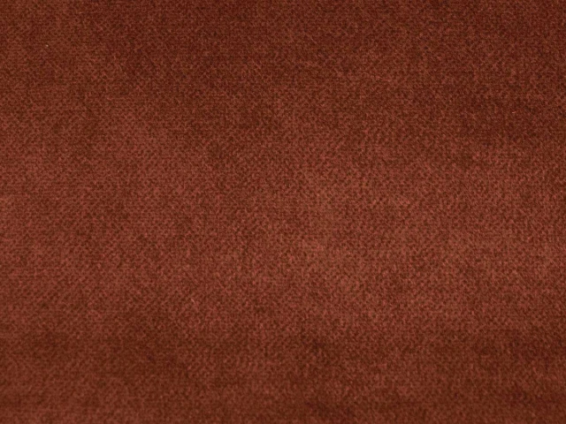 Salvia (Сальвія) 54 Помаранчевий 