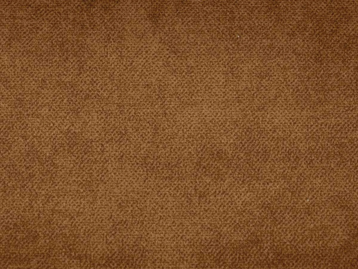 Salvia (Сальвія) 49 Гірчичний 