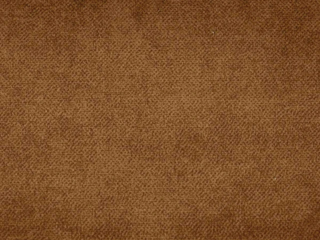 Salvia (Сальвія) 49 Гірчичний 