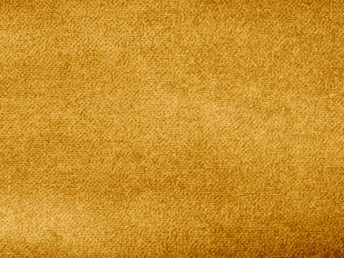 Salvia (Сальвія) 45 Жовтий 