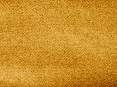 Salvia (Сальвія) 45 Жовтий