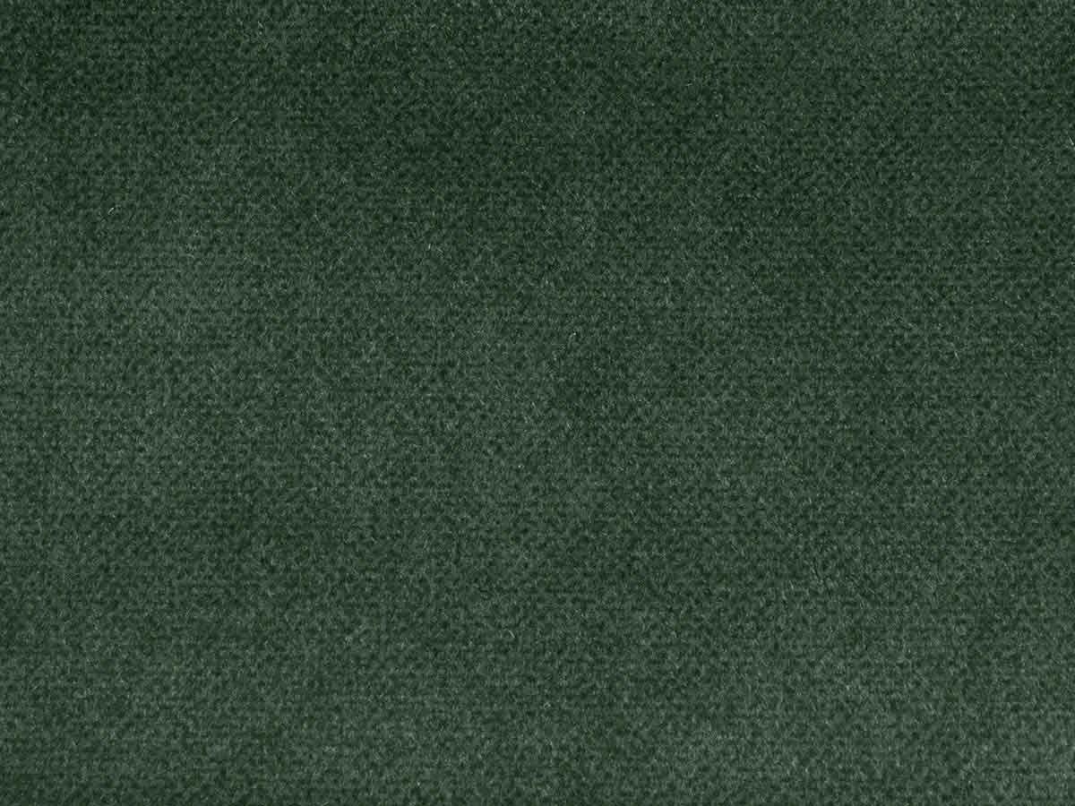 Salvia (Сальвія) 38 Смарагдовий 