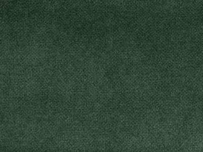 Salvia (Сальвія) 38 Смарагдовий