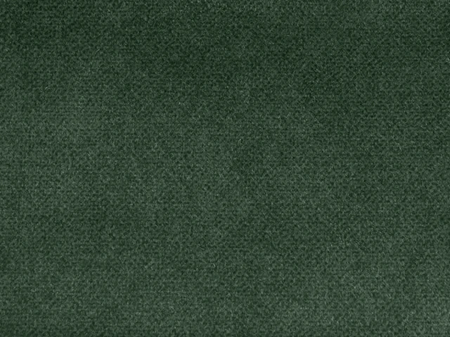 Salvia (Сальвія) 38 Смарагдовий 