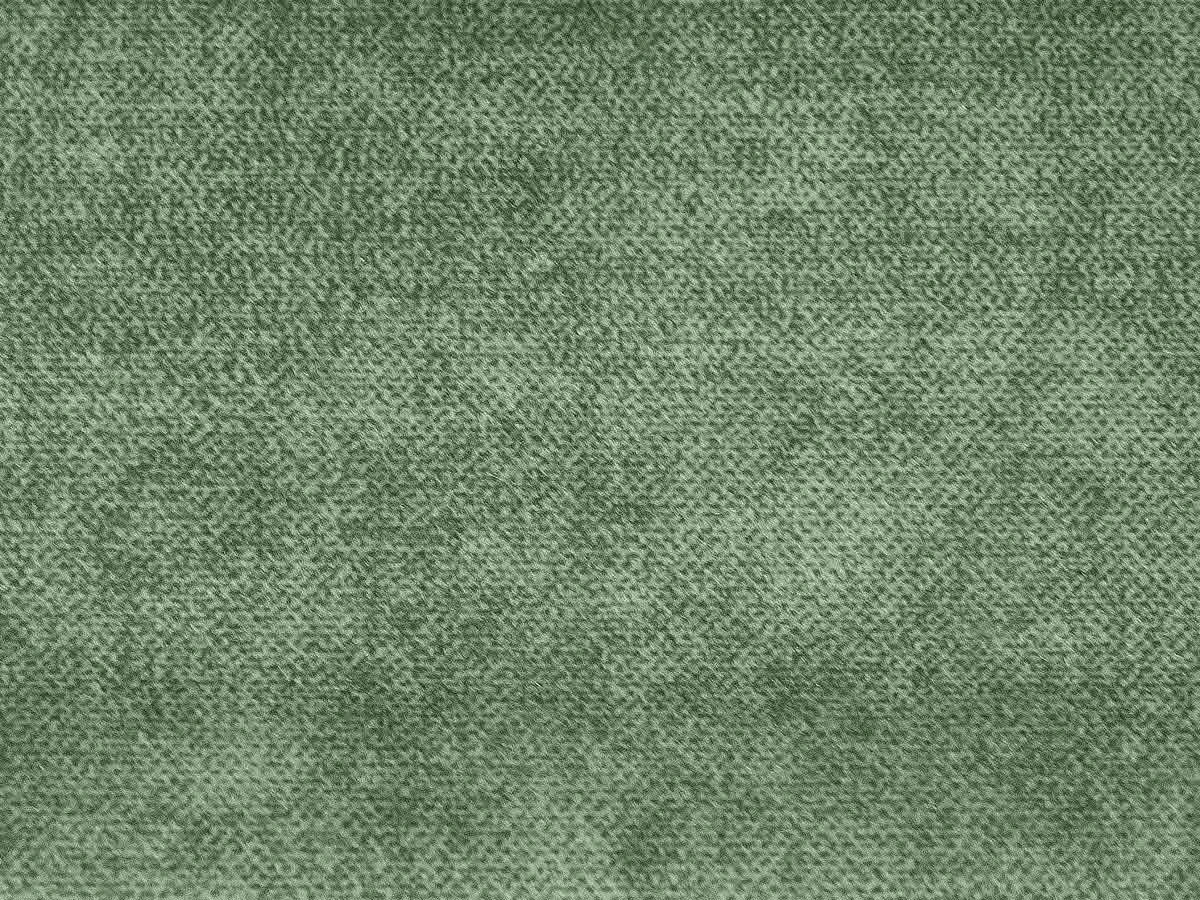 Salvia (Сальвія) 36 Трав'яний 