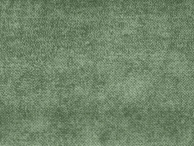 Salvia (Сальвія) 36 Трав'яний