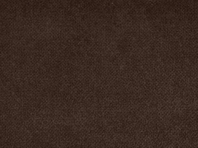 Salvia (Сальвія) 22 Темно-коричневий 