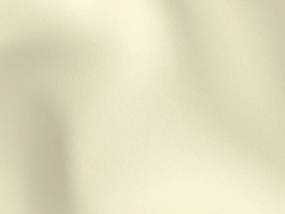 Florida (Флорида) Bone