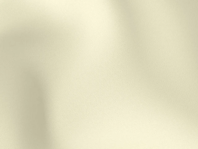 Florida (Флорида) Bone 